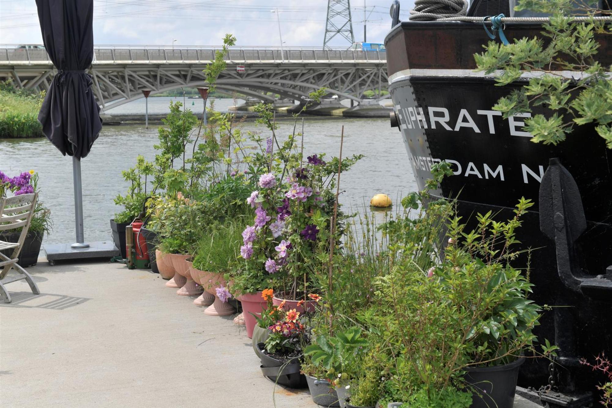 Bed and Breakfast Wheelhouse Euphrate Houseboat Diemen Екстер'єр фото